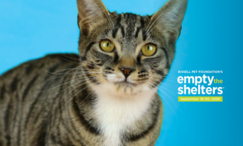AFHS Bissel Pet Foundation